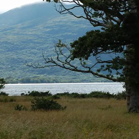 Knockmanagh By Trident Homes *