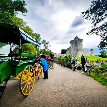 度假居 Knockmanagh By Trident Homes *