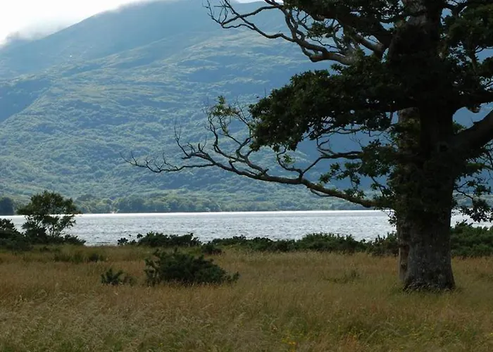 Knockmanagh By Trident Homes *